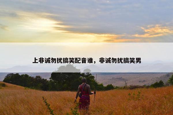 上非诚勿扰搞笑配音谁，非诚勿扰搞笑男