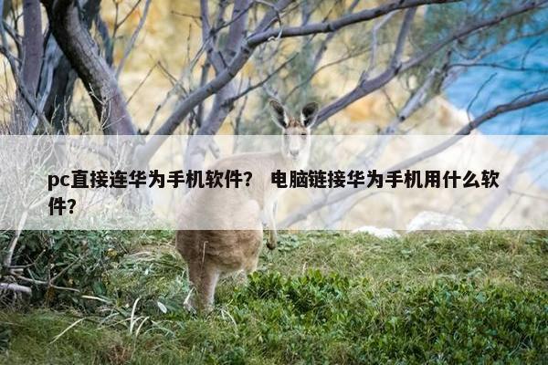 pc直接连华为手机软件？ 电脑链接华为手机用什么软件？