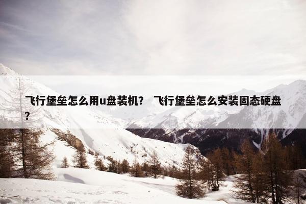飞行堡垒怎么用u盘装机？ 飞行堡垒怎么安装固态硬盘？