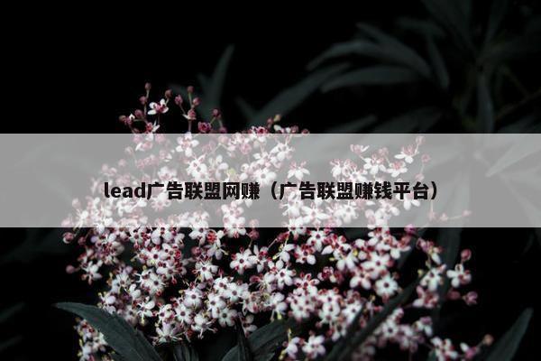 lead广告联盟网赚（广告联盟赚钱平台）