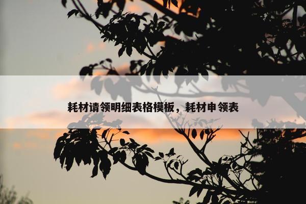 耗材请领明细表格模板，耗材申领表