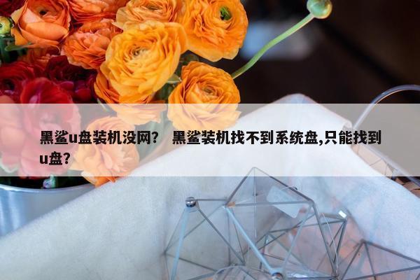 黑鲨u盘装机没网？ 黑鲨装机找不到系统盘,只能找到u盘？