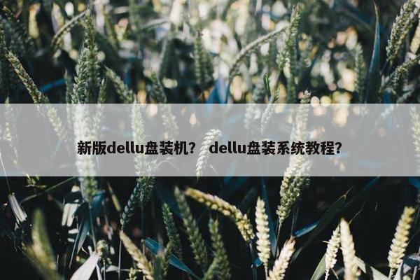 新版dellu盘装机？ dellu盘装系统教程？