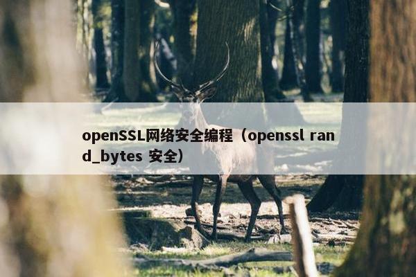 openSSL网络安全编程（openssl rand_bytes 安全）
