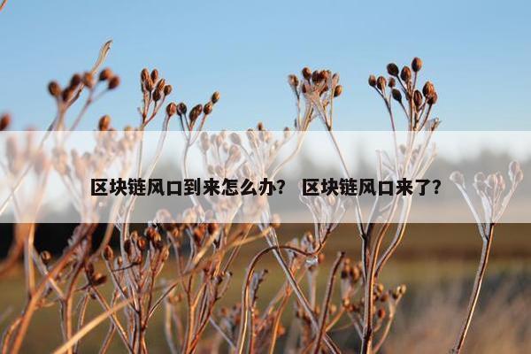 区块链风口到来怎么办？ 区块链风口来了？
