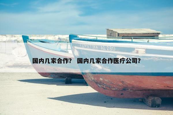 国内几家合作？ 国内几家合作医疗公司？