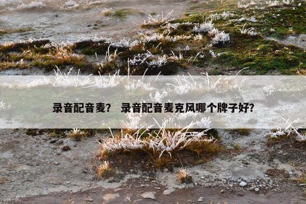 录音配音麦？ 录音配音麦克风哪个牌子好？