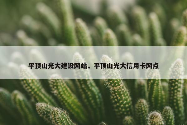 平顶山光大建设网站，平顶山光大信用卡网点