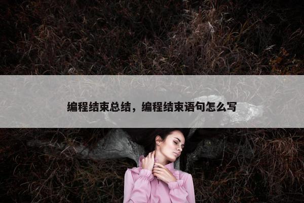 编程结束总结，编程结束语句怎么写