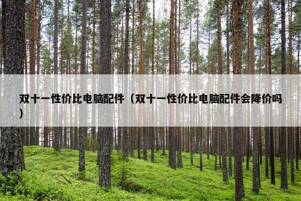 双十一性价比电脑配件（双十一性价比电脑配件会降价吗）