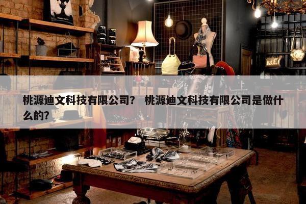 桃源迪文科技有限公司？ 桃源迪文科技有限公司是做什么的？