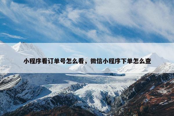 小程序看订单号怎么看，微信小程序下单怎么查