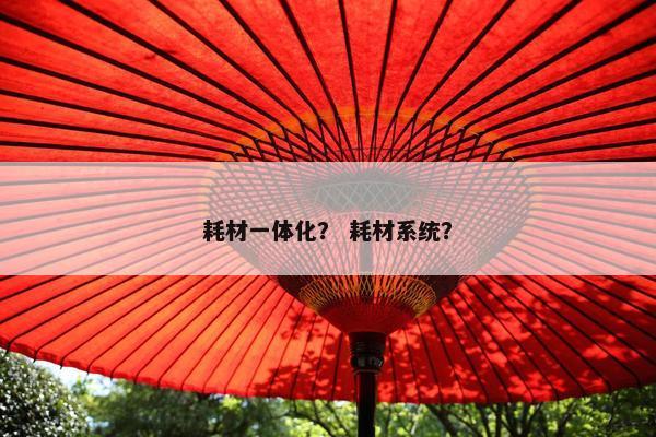 耗材一体化？ 耗材系统？