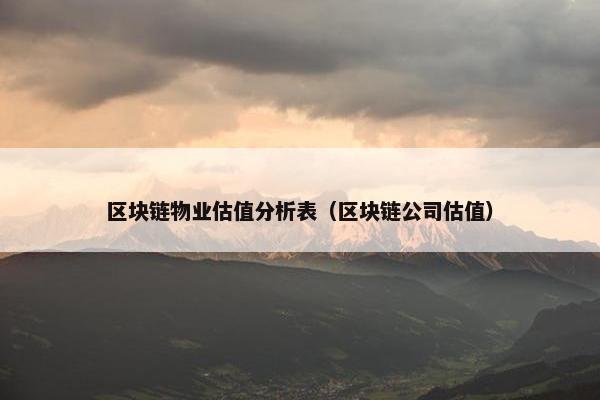区块链物业估值分析表（区块链公司估值）