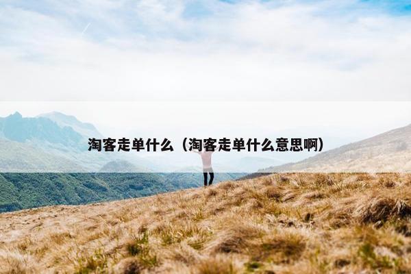 淘客走单什么（淘客走单什么意思啊）