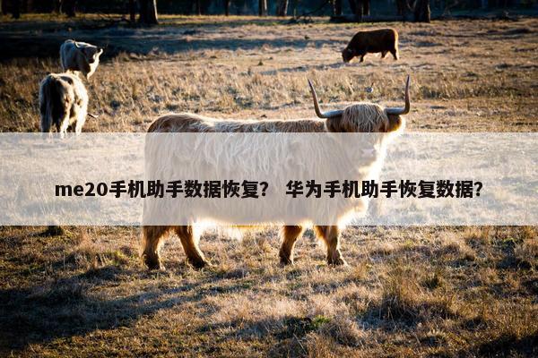 me20手机助手数据恢复？ 华为手机助手恢复数据？