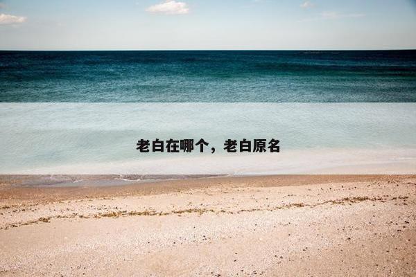 老白在哪个，老白原名