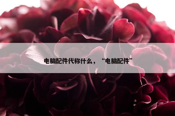 电脑配件代称什么，“电脑配件”