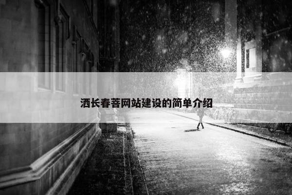 洒长春菩网站建设的简单介绍