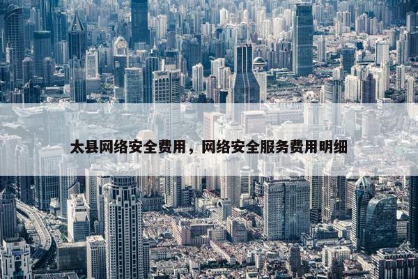 太县网络安全费用，网络安全服务费用明细