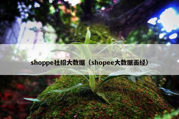 shoppe社招大数据（shopee大数据面经）