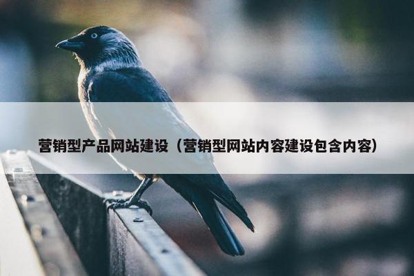 营销型产品网站建设（营销型网站内容建设包含内容）