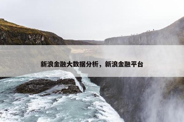 新浪金融大数据分析，新浪金融平台