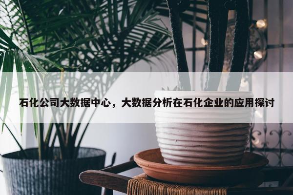 石化公司大数据中心，大数据分析在石化企业的应用探讨