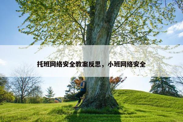 托班网络安全教案反思，小班网络安全