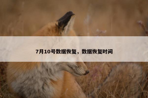 7月10号数据恢复，数据恢复时间