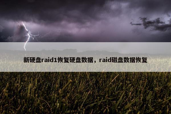 新硬盘raid1恢复硬盘数据，raid磁盘数据恢复