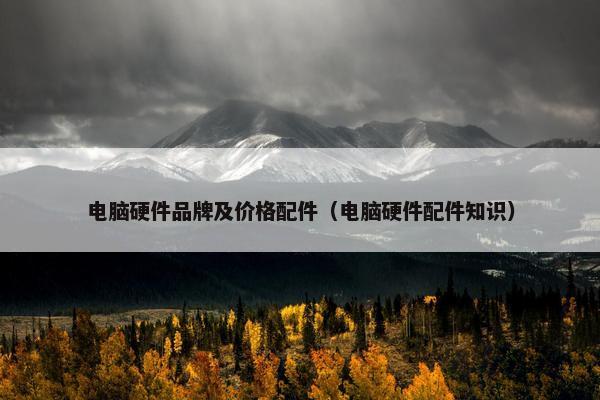 电脑硬件品牌及价格配件（电脑硬件配件知识）