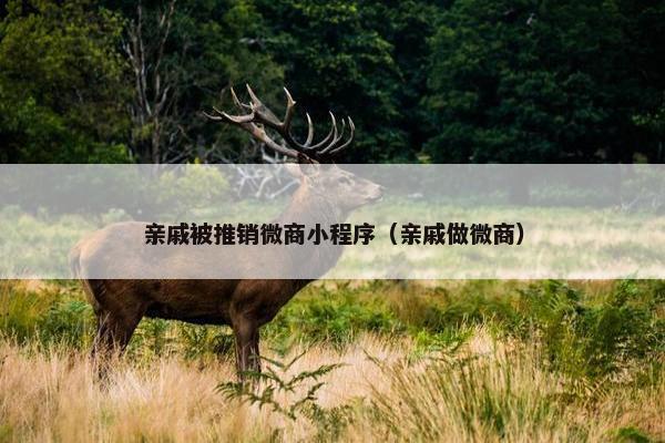 亲戚被推销微商小程序（亲戚做微商）