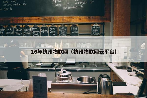 16年杭州物联网（杭州物联网云平台）