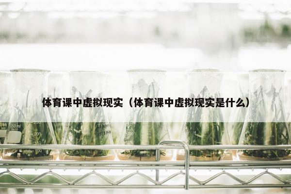 体育课中虚拟现实（体育课中虚拟现实是什么）