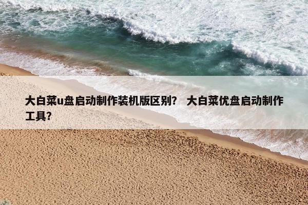 大白菜u盘启动制作装机版区别？ 大白菜优盘启动制作工具？