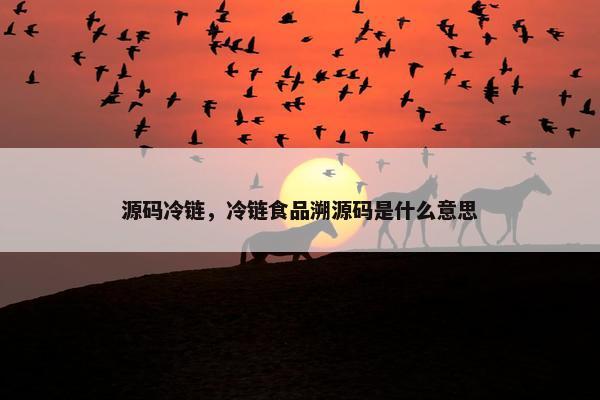 源码冷链，冷链食品溯源码是什么意思