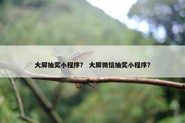 大屏抽奖小程序？ 大屏微信抽奖小程序？