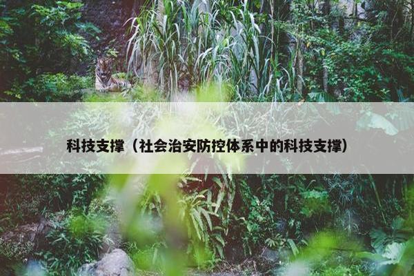 科技支撑（社会治安防控体系中的科技支撑）
