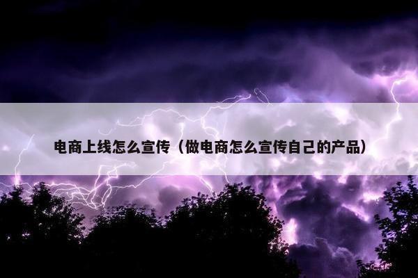 电商上线怎么宣传（做电商怎么宣传自己的产品）
