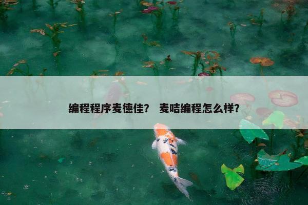 编程程序麦德佳？ 麦咭编程怎么样？