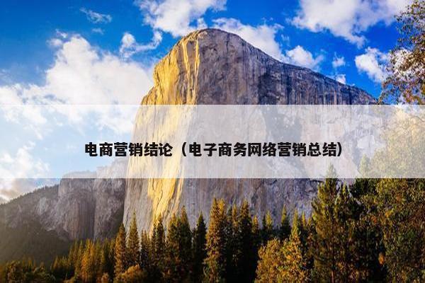 电商营销结论（电子商务网络营销总结）