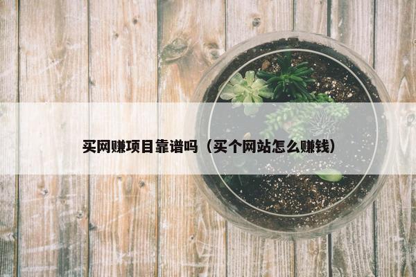 买网赚项目靠谱吗（买个网站怎么赚钱）
