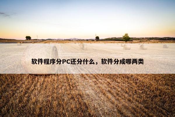 软件程序分PC还分什么，软件分成哪两类