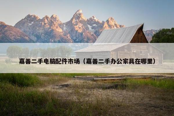 嘉善二手电脑配件市场（嘉善二手办公家具在哪里）