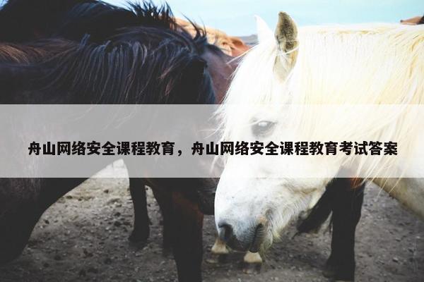 舟山网络安全课程教育，舟山网络安全课程教育考试答案