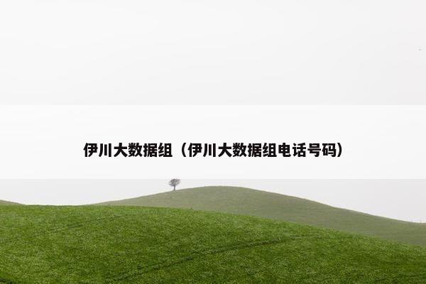 伊川大数据组（伊川大数据组电话号码）