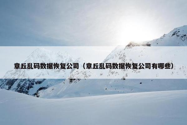 章丘乱码数据恢复公司（章丘乱码数据恢复公司有哪些）