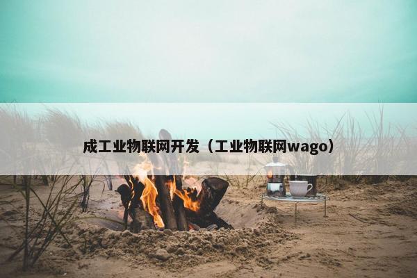 成工业物联网开发（工业物联网wago）
