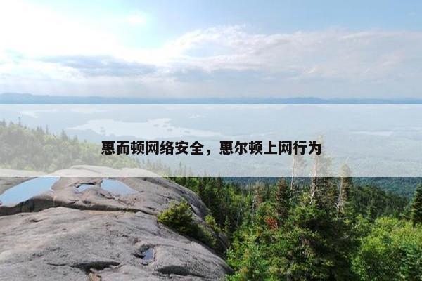 惠而顿网络安全，惠尔顿上网行为